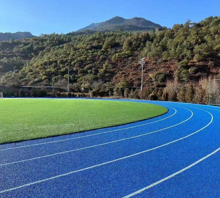 塑膠場地材料 塑膠場地材料